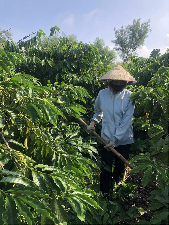 HIỆU QUẢ TỪ NGUỒN VỐN TÍN DỤNG CHÍNH SÁCH