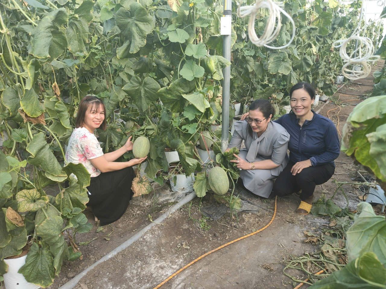 Hiệu quả từ nguồn vốn tín dụng chính sách – Tiếp sức phụ nữ  phát triển kinh tế gia đình