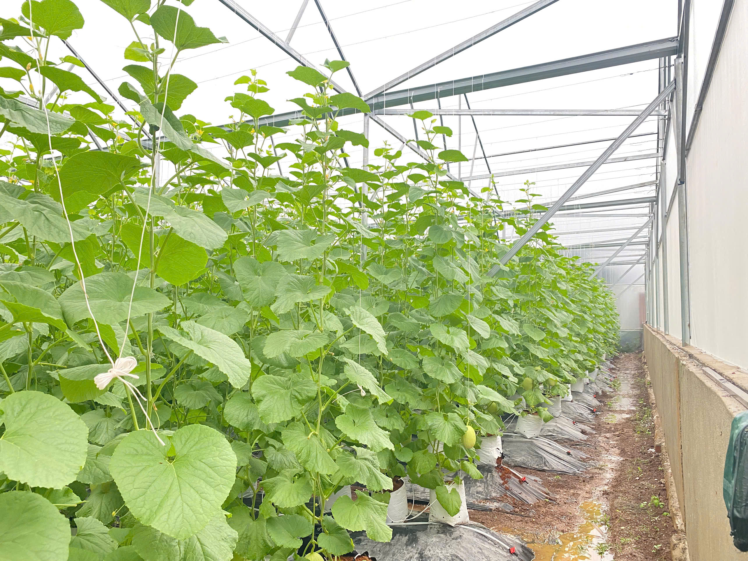 z7524249604918_3bdcb1fe7a30f52f27a8fe43ff52a150