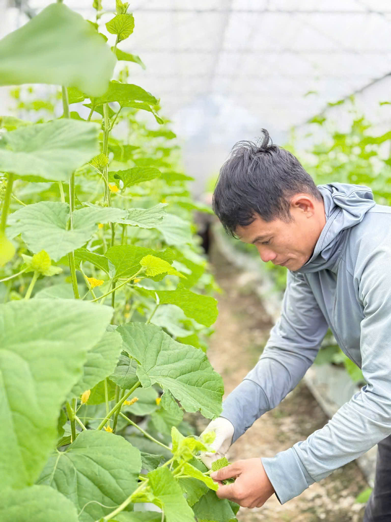 z7666991210410_1f4438dcc3131e0c44c2e62074ca2ab7